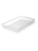 MasterClass Marinadenbox in Transparent - (B)37 x (H)10 cm