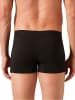COTONELLA Boxershorts  in Schwarz