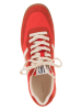 GANT Footwear Sneakers in Rot