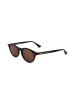 Web Damen-Sonnenbrille in Braun/ Hellbraun
