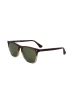 Web Herren-Sonnenbrille in Braun-Beige/ Khaki