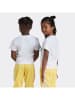 adidas Shirt wit