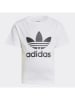 adidas Shirt wit