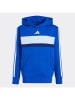 adidas Hoodie in Blau