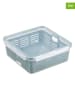 Plast Team 2er-Set. Frischhaltedosen "Amsterdam" in Grau - 2,5 l