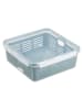 Plast Team Lunchbox blauw - (B)22 x (H)8,5 x (D)22 cm