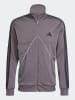 adidas 2tlg. Outfit in Grau