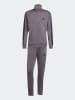 adidas 2tlg. Outfit in Grau