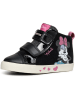 Geox Sneakersy "Kilwi" w kolorze czarnym