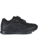 Geox Sneakers "Pavel" in Schwarz