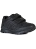 Geox Sneakers "Pavel" in Schwarz