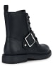 Geox Stiefeletten "Eclair" in Schwarz