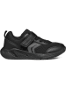 Geox Sneakers "Sprintye" in Schwarz