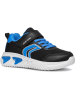Geox Sneakers "Assister" in Schwarz/ Blau