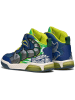 Geox Sneakers "Inek" in Blau/ Grün