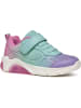 Geox Sneakers "Fadinlight" in Türkis/ Rosa