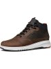 Geox Sneakers "Aerantis" in Braun