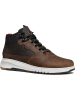 Geox Sneakers "Aerantis" in Braun