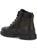 Geox Leder-Boots "Andalo" in Braun