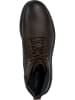 Geox Leren boots "Andalo" bruin