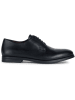 Geox Leder-Schnürschuhe "Decio" in Schwarz