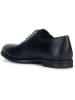 Geox Leder-Schnürschuhe "Decio" in Schwarz