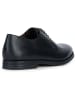 Geox Leder-Schnürschuhe "Decio" in Schwarz