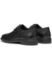 Geox Leren veterschoenen "Terence" zwart