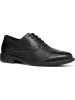 Geox Leren veterschoenen "Terence" zwart