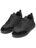 Geox Sneakers "Portello" in Schwarz