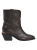 Pepe Jeans FOOTWEAR Leren enkellaarzen "April" bruin