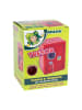 Jolly Spardose "Tresor" in Rot - (L)16,5 x (B)12,5 x (H)12 cm