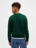 GAP Sweatshirt in Grün