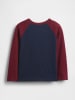 GAP Longsleeve in Dunkelblau/ Rot
