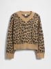 GAP Pullover in Hellbraun
