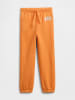 GAP Sweathose in Orange