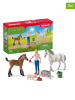 Schleich 3-częściowy zestaw "Vet visiting mare and foa" do zabawy - 3+