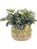Clayre & Eef Blumentopf in Gelb/ Grün - (H)19 x  Ø 15 cm