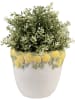 Clayre & Eef Bloempot wit/goudkleurig - (H)16 x Ø 15 cm