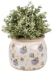 Clayre & Eef Bloempot paars/wit - (H)16 x  Ø 13 cm