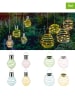 Garden Hero 8er-Set: LED-Solar-Dekoleuchten in Bunt