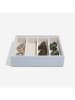 Stackers Brillenschachtel in Lila - (B)25 x (H)17 x (T)6 cm