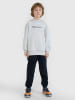 4F Hoodie in Grau