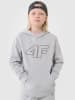4F Hoodie in Grau