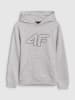 4F Hoodie in Grau