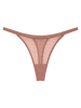 Triumph Stringi "Signature Sheer" w kolorze beżowym