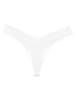 Triumph String "Harmony Spotlight" wit