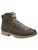 DOLOMITE Leder-Wanderboots "54 High Fg GTX" in Braun