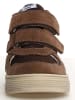 Naturino Leder-Sneakers "Hess 3" in Hellbraun