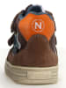 Naturino Leder-Sneakers "Hess 3" in Hellbraun